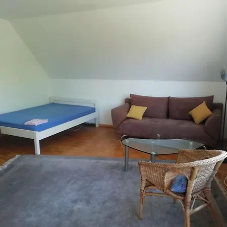 2 Zimmer-wohnung Mit Grossem Sonnenbalkon