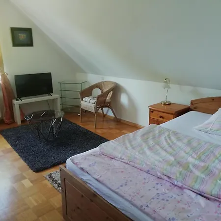 2 Zimmer-wohnung Mit Grossem Sonnenbalkon شقة دينسلاكن